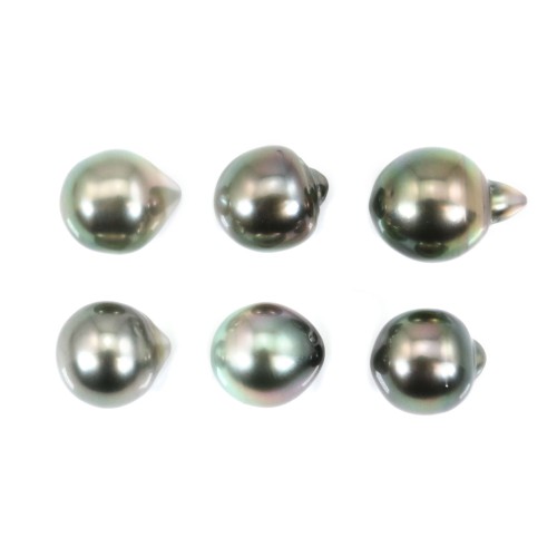 Perla cultivada de Tahití, semirredonda, 9-9.5mm x 6pcs