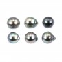 Perle tahiti semi-ronde 9.5-10.5mm x6