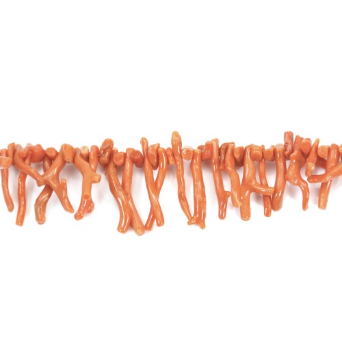 Rama de coral naranja natural x 50cm