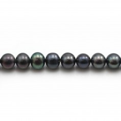 Freshwater cultured pearls, dark blue, half-round 6-7mm x 38cm
