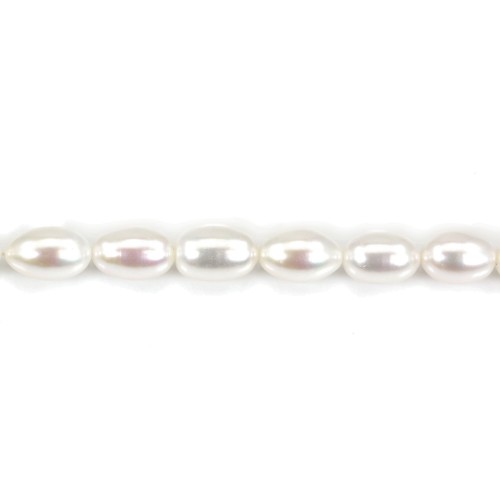 Freshwater cultured pearls, white, olive, 7-8mm x 1pc