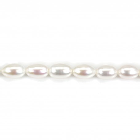 White ovale-shape freshwater pearls 9-13mm x 1pc