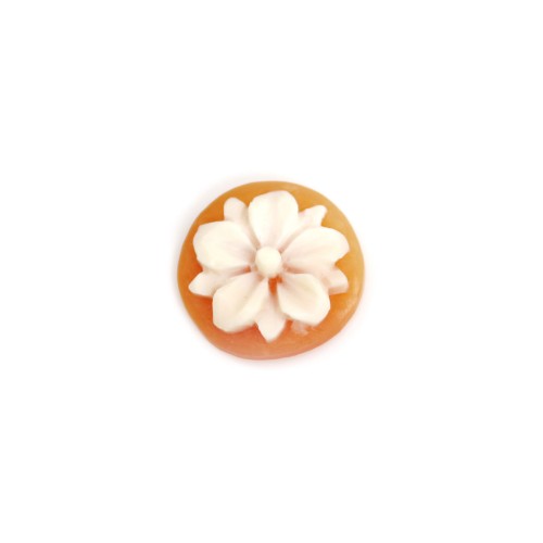 Cabochon Cameo Conch carnelian round flower 12mm x 1pc