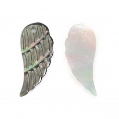 Gray mother-of-pearl wing 10x22mm x 1pc