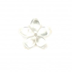 Flor de nácar blanca 5 pétalos 10mm x 1pc